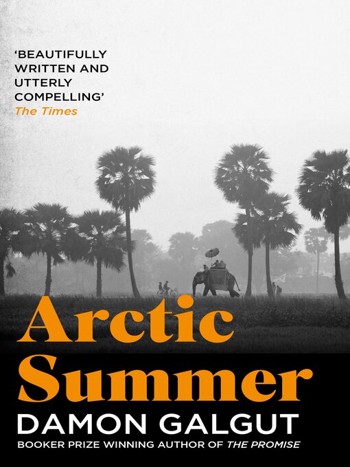 Title details for Arctic Summer by Damon Galgut - Wait list